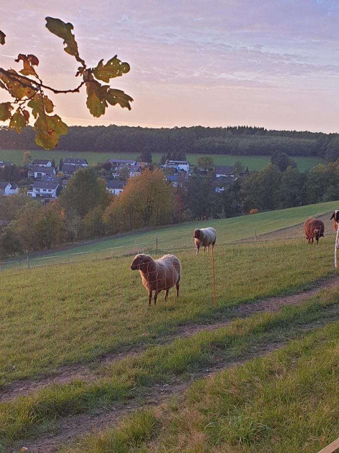 Andinas Ferienwohnung In Ruhiger Lage Direkt Am Wald 维尔恩斯多夫 外观 照片